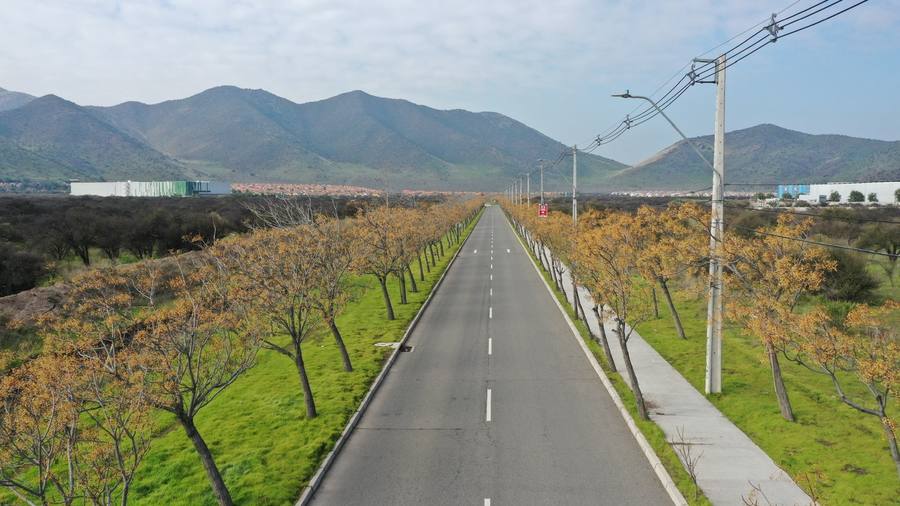 Avenida arborizada con cerros al fondo y bodegas industriales