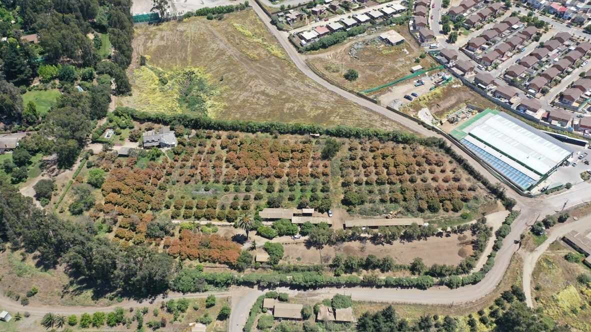 Vista aérea del terreno con huerto de árboles, casas y caminos alrededor